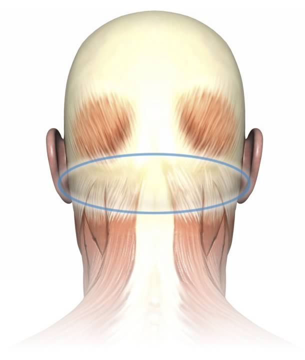 Lumps At Base Of Baby S Skull