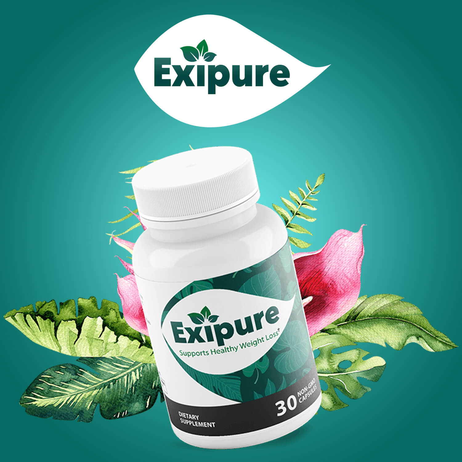 Exipure reviews weight loss truth